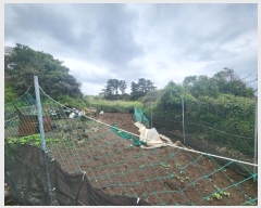  2022Ÿ1529  ֽ ﵿ 2461-2       (1)