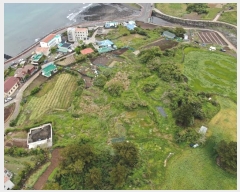  2022Ÿ1529  ֽ ﵿ 2461-2       (1)