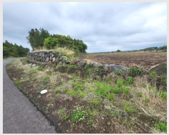  2022Ÿ1529  ֽ ﵿ 2461-2       (1)