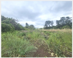  2022Ÿ1529  ֽ ﵿ 2461-2       (1)