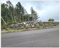  2022Ÿ1529  ֽ ﵿ 2461-2       (1)