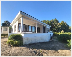  2022Ÿ��6395 ���� �������� ������ �Ǳ͸� 1909-3      ���ð��