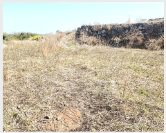  2022Ÿ20773    ︮ 497      (1)