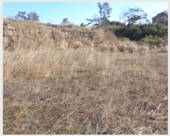  2022Ÿ20773    ︮ 497      (1)