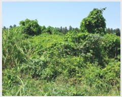  2022Ÿ��25419 ���� ���ֽ� �ֿ��� ������ 15      ����(�Ӿ�)���