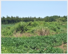  2022Ÿ��25419 ���� ���ֽ� �ֿ��� ������ 15      ����(�Ӿ�)���