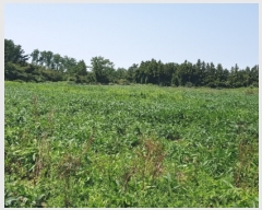  2022Ÿ��25419 ���� ���ֽ� �ֿ��� ������ 15      ����(�Ӿ�)���