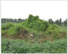  2022Ÿ��25419 ���� ���ֽ� �ֿ��� ������ 15      ����(�Ӿ�)���