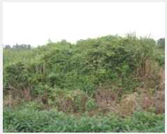  2022Ÿ��25419 ���� ���ֽ� �ֿ��� ������ 15      ����(�Ӿ�)���