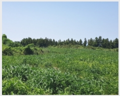  2022Ÿ��25419 ���� ���ֽ� �ֿ��� ������ 15      ����(�Ӿ�)���