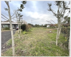  2022Ÿ��6890 ���� ���ֽ� ��õ�� ��õ�� 1931-3      ����(��1)���