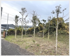  2022Ÿ��6890 ���� ���ֽ� ��õ�� ��õ�� 1931-3      ����(��1)���