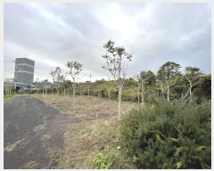  2022Ÿ��6890 ���� ���ֽ� ��õ�� ��õ�� 1931-3      ����(��1)���