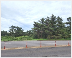  2022Ÿ��26023  �Ӿ߰��