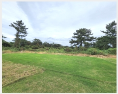  2022Ÿ��26023  �Ӿ߰��