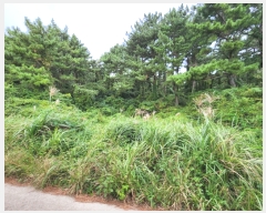  2022Ÿ��26023  �Ӿ߰��