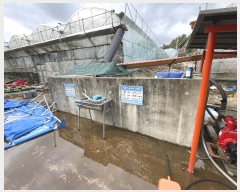  2022Ÿ28289   ȿ 1052       ,â