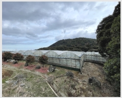  2022Ÿ28289   ȿ 1052       ,â