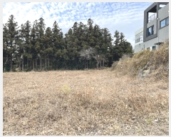  2022Ÿ28289   ȿ 1052       ,â