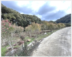  2022Ÿ28289   ȿ 1052       ,â