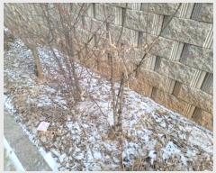  2022Ÿ4799  ֽ ź â 492-3      