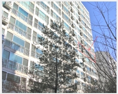  2022Ÿ��60409 ��� ���ֽ� å���� 448, 1204�� 8��801ȣ (���е�,����ȿ�ھ���Ʈ)    ����Ʈ���