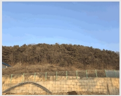  2022Ÿ70352  ֽ ź ϸ 310-12      (Ӿ)