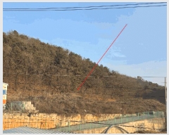  2022Ÿ70352  ֽ ź ϸ 310-12      (Ӿ)