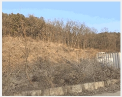  2022Ÿ70352  ֽ ź ϸ 310-12      (Ӿ)