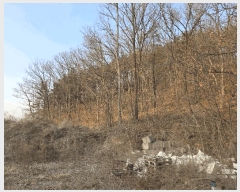  2022Ÿ70352  ֽ ź ϸ 310-12      (Ӿ)