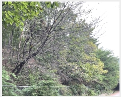  2022Ÿ��4591  �Ӿ߰��