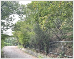  2022Ÿ��4591  �Ӿ߰��