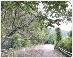  2022Ÿ��4591  �Ӿ߰��