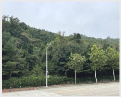  2022Ÿ��4591  �Ӿ߰��