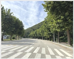  2022Ÿ��4591  �Ӿ߰��