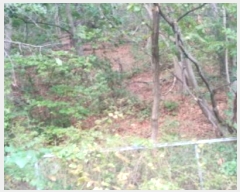  2022Ÿ��4591  �Ӿ߰��