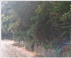  2022Ÿ��4591  �Ӿ߰��