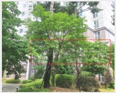  2022Ÿ3116  ֽ ûϷ 27, 609 3301ȣ (񵿵,곻6Ѷߵ)    Ʈ