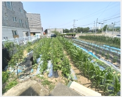  2022Ÿ��65084 ��� ���ֽ� ������ ����� 502-5      ����(��)���