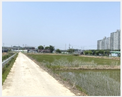  2022Ÿ��65084 ��� ���ֽ� ������ ����� 502-5      ����(��)���