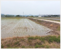  2022Ÿ��65084 ��� ���ֽ� ������ ����� 502-5      ����(��)���