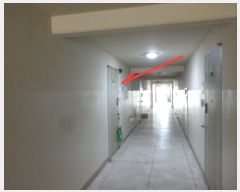  2022Ÿ��2417 ��� ����� �����߾ӷ�70���� 11, 115�� 19��1907ȣ (������,���ָ���ǳ��1�����̿�)    ����Ʈ���