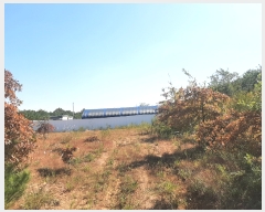  2022Ÿ3649  Ȼ ܿ ε 61-4      (Ӿ)