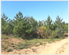  2022Ÿ3649  Ȼ ܿ ε 61-4      (Ӿ)