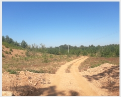  2022Ÿ3649  Ȼ ܿ ε 61-4      (Ӿ)