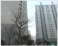  2022Ÿ��3289 �λ� ���ϱ� �ٴ��429���� 20, 205�� 20��2004ȣ (�ٴ뵿,��ȯ����Ʈ)    ����Ʈ���
