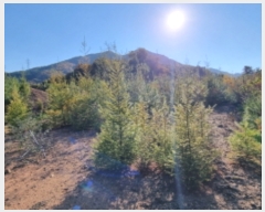  2022Ÿ��2510 ��� ���� ���Ǹ� ȸ� 368-9      ����(�Ӿ�)���