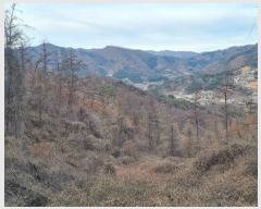  2022Ÿ��2893 ��� ���� û��� ��õ�� 1048-1      ����(�Ӿ�)���