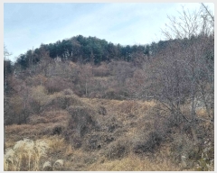  2022Ÿ��2893 ��� ���� û��� ��õ�� 1048-1      ����(�Ӿ�)���