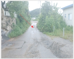  2022Ÿ��73840 ��� �����ֽ� ������ ��õ�� 270-5      ���ð��